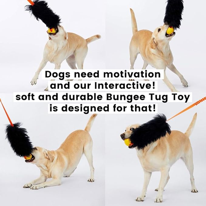 HOWGO Dog Rope Toy,Dog Bungee Chaser Toy 100% Sheepskin,Sheep Smell Tug Toy for All Breeds (Green, with Rubber Ball)