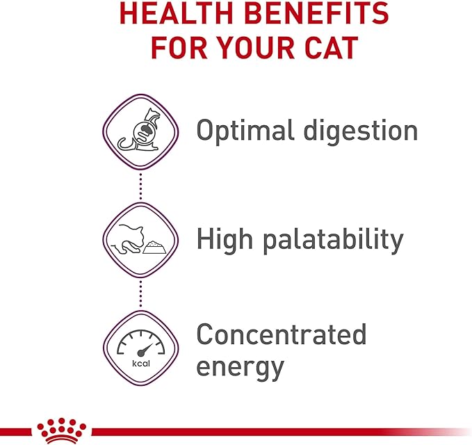 Royal Canin Adult Cat Sensitive Digestion Dry Adult Cat Food, 15 lb bag