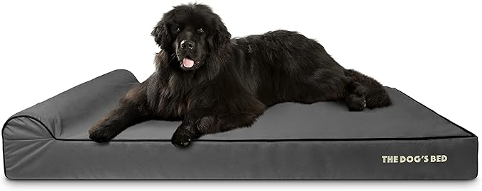 The Dog’s Bed Orthopedic Headrest Dog Bed XXXL Grey/Black, Memory Foam, Pain Relief for Arthritis, Hip & Elbow Dysplasia, Post Surgery, Lameness, Waterproof Washable Cover