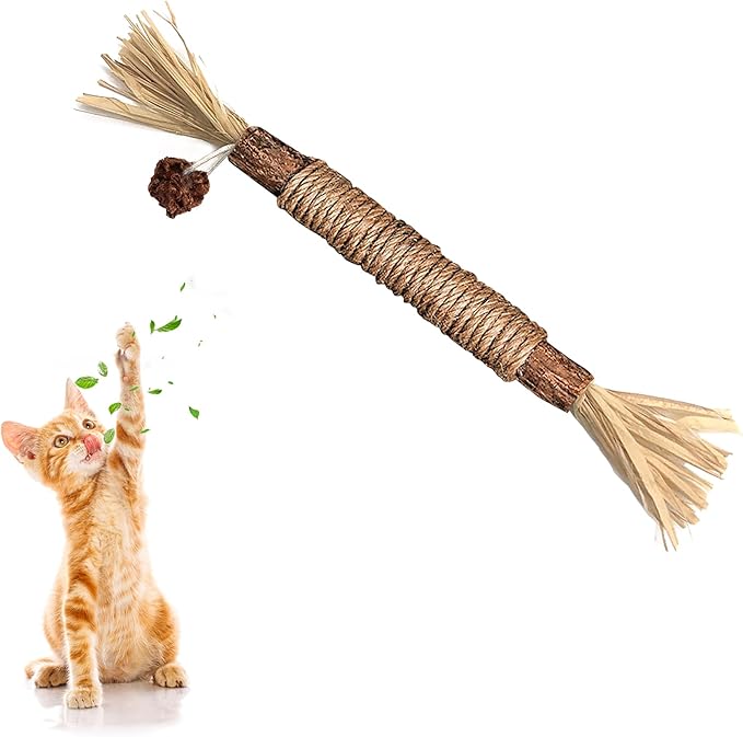 1 Pack Silvervine Cat Toy, Silvervines Sticks Cat Toys for Indoor Cats, Cat & Kitten Chew Toys for Aggressive Chewers, Cat Dental Toy for Kitten Teeth Cleaning, Matatabi Silvervine for Cats