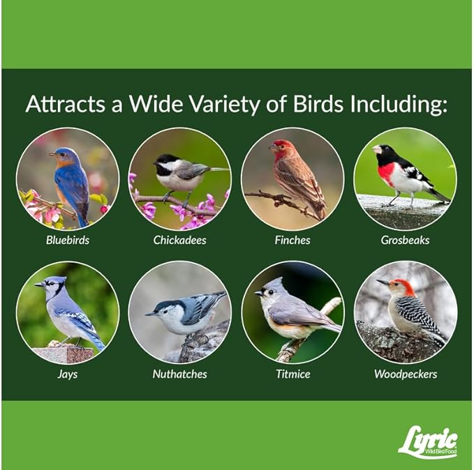 Lyric Fine Tunes Wild Bird Seed - No Waste Bird Food Mix - Attracts Bluebirds, Finches, Chickadees & More - 5 lb bag