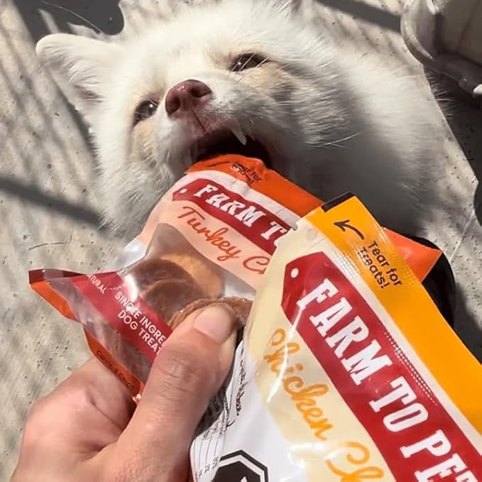 Farm To Pet - Puppy Training Treats Starter Pack Chicken 4oz + 2 Turkey & 2 Beef Snack Chips for Small Dogs - Value Pack Dog Treats, 100% All Natural, Single Ingredient, Puppy Essentials Made in USA