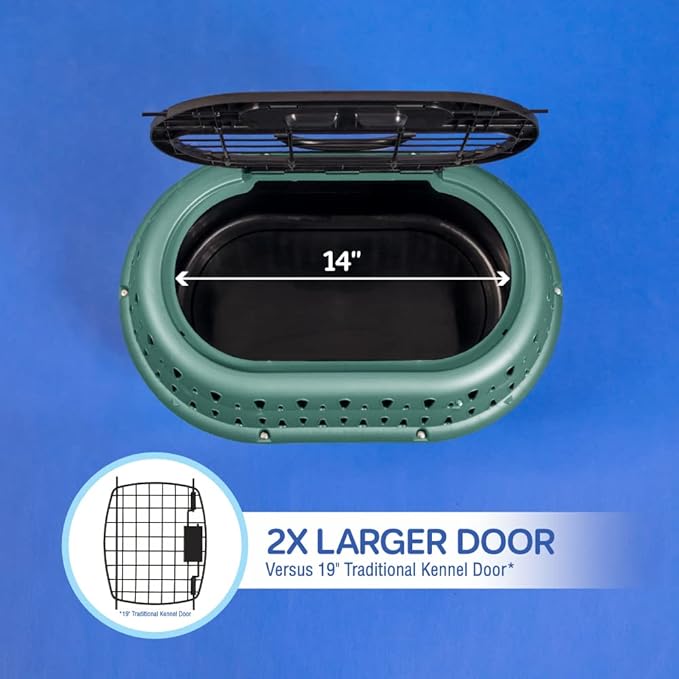 Petmate Dog Crates for Small Dogs & Cat Carriers, One-Door Plastic Pet Kennel, Front Loading, Made in USA, 19", Green
