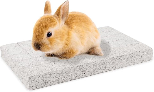 Rabbit Scratching Pad Bunny Feet Pad Lava Grinding Chew Toy for Rabbit Chinchilla Guinea Pig Ferrets (B)