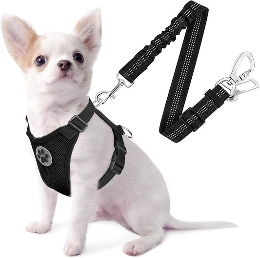 SlowTon Dog Seat Belt Harness for Car, Dog Car Harness Adjustable Mesh Breathable & Dog Seatbelt Safety Tether with Elastic Bungee for Small Medium Large Pets(Black, Double Clip, XXS)