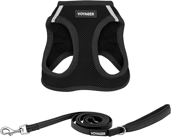 Voyager Step-in Air All Weather Mesh Harness and Reflective Dog 5 ft Leash Combo with Neoprene Handle, for Small, Medium and Large Breed Puppies by Best Pet Supplies - Set (Black), XS