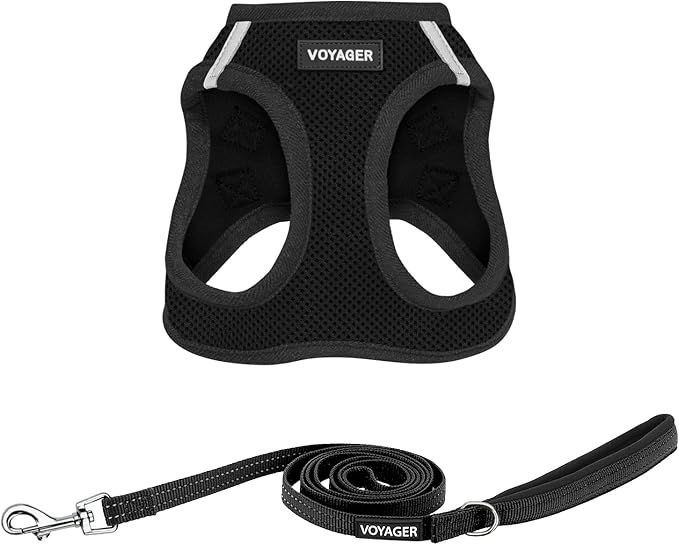 Voyager Step-in Air All Weather Mesh Harness and Reflective Dog 5 ft Leash Combo with Neoprene Handle, for Small, Medium and Large Breed Puppies by Best Pet Supplies - Set (Black), XL