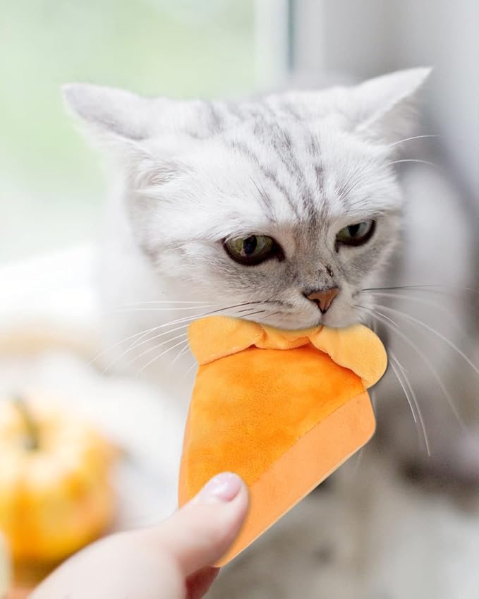 CiyvoLyeen 6pcs Thanksgiving Catnip Toys Plush Cat Chew Bite Resistant Toys Interactive Boredom Relief Teeth Cleaning Kitten Toys for Fall Thanksgiving Cat Lover Gift