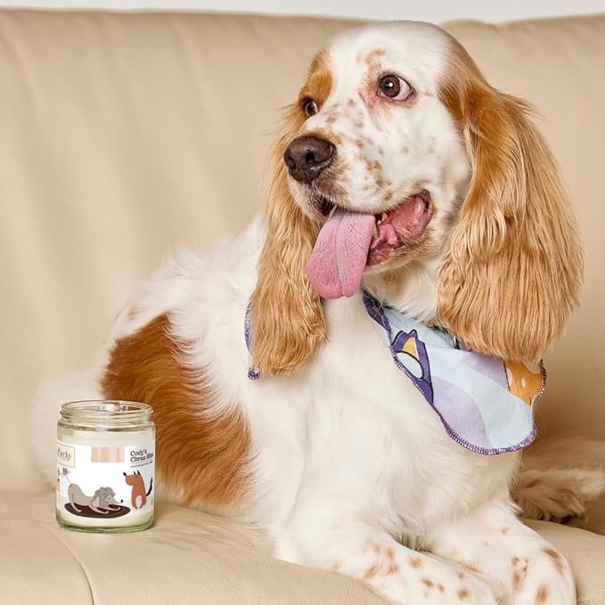 9oz Pet Odor Eliminator Deodorizer Candle, Long-Lasting Citrus Scented, Non Toxic, Natural Plant-Based Wax Blend