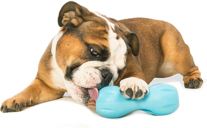 WEST PAW Design, Toy Dog Qwizl Aqua Small