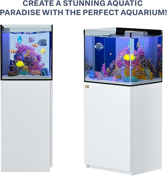 Saltwater Aquarium Tank | 50 Gallon Ultra Clear Glass with Sump, White