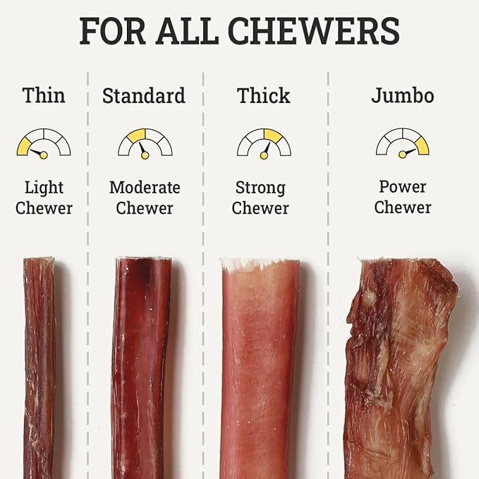 Supreme 12-inch Standard Bully Sticks by Sancho and Lola’s (5 Pack) All-Natural, Long-Lasting Dog Chew Treats - Free-Range, Grass-Fed Beef - Low Odor