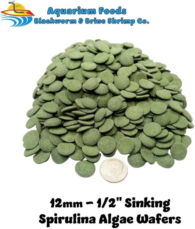 Aquatic Foods Inc. 12mm - 1/2" Small Sinking Wafers of Algae, Spirulina, Veggies for All Tropical Fish, African Cichlids, Shrimp, Snails, Crabs, Catfish, Plecos..…1-lb 12.3oz Clear Bag