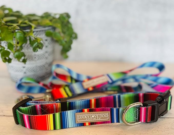 Lucky Love Dog - Adjustable Dog Collar and Leash Set with Easy Click Buckle for Small to Large Dogs, Durable, & Comfortable Collar for Male & Female Dogs, Puppies & Adult Ones - Nacho Combo, Large