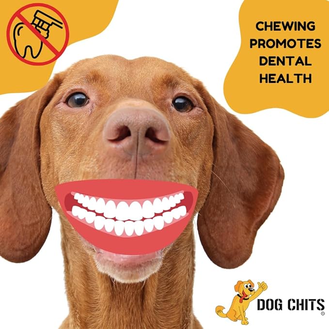 Dog Chits Curly Bully Sticks for Dogs and Puppies | 12-inch | All Natural, Treats | Long Lasting Chew | Promotes Dental Health | Keeps Pups Busy | Grass Fed Beef | 3 Pack