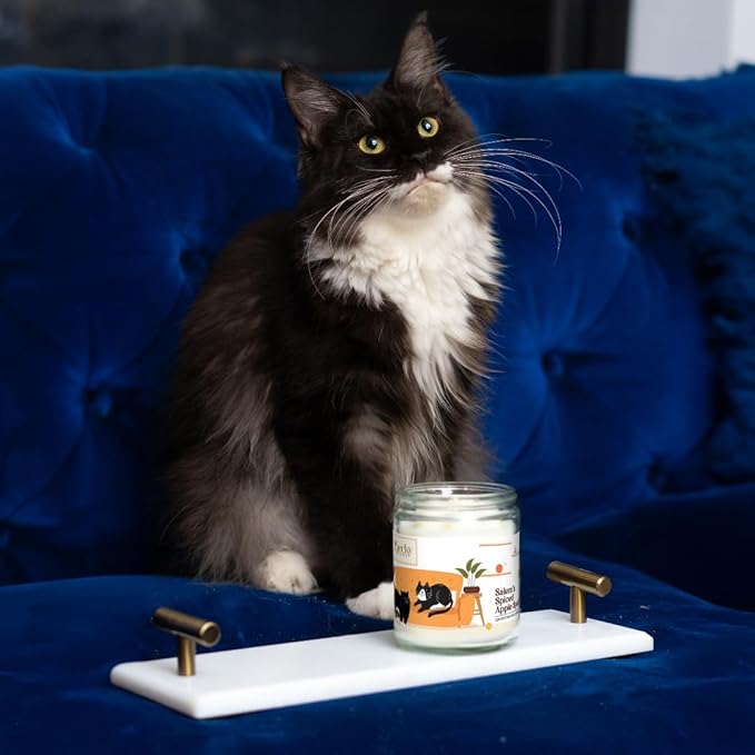 9oz Pet Odor Eliminator Deodorizer Candle, Long-Lasting Spiced Apple Scented, Non Toxic, Natural Plant-Based Wax Blend