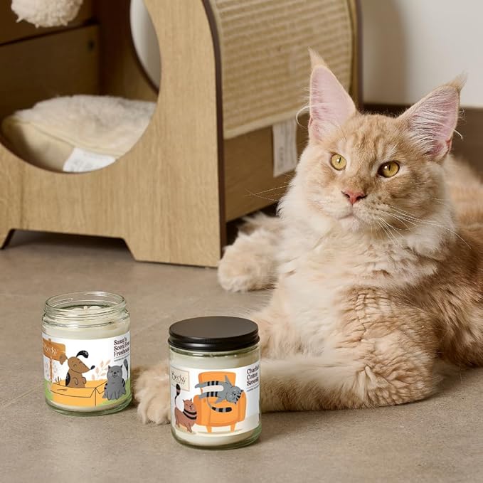 9oz Pet Odor Eliminator Deodorizer Candle, Long-Lasting Cotton Scented, Non Toxic, Natural Plant-Based Wax Blend