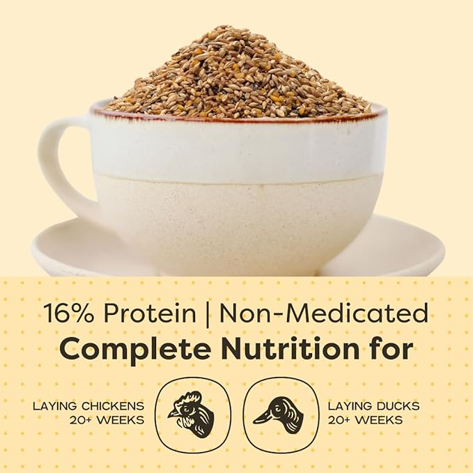 Scratch and Peck Feeds Whole Grain Layer Mash Chicken and Duck Feed - 25 lbs Bag - Corn-Free and Soy-Free - 16% Protein, Certified Organic and Non-GMO Project Verified Chicken Food