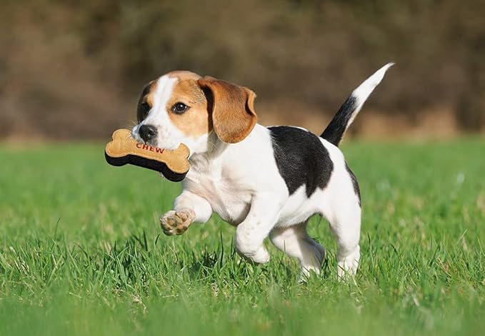 Natural Suede Leather Chew Toy for Adult Dogs, Puppies, | Tough, Durable, and Fun | Chewing Interactive Pet Toy (Bone Shape)