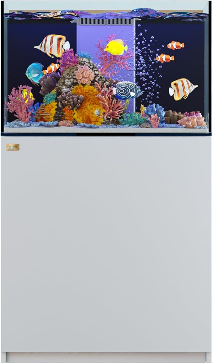Coral Reef Aquarium Tank | 90 Gallon Ultra Clear Glass with Sump, White
