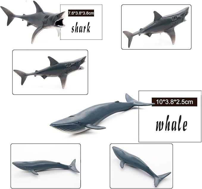 Sea Animal Toy Set,12 pcs Animal Sea Figures Ocean Toy for Kids, Realistic Set for Sea Lovers, Includes Great White Shark, Dolphin, White Shark, Whale for Age 3+
