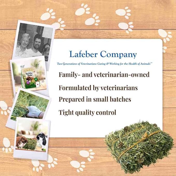 LAFEBER'S Berrie-Bale Mint for Rabbits 1 lb