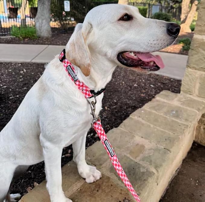 Lucky Love Dog - Adjustable Dog Collar with Easy Click Buckle for Small to Large Ones, Durable, & Comfortable for Male & Female Dogs, Pet Collar for Puppies & Adult Dogs - Bailey, XS