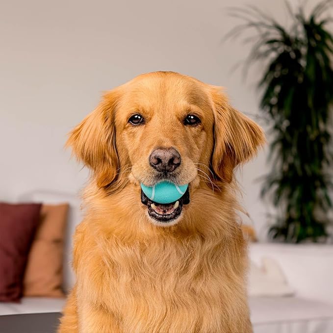 Playology Dog Toys | Squeaky Chew Ball - Bouncy Durable Floating Fetch Ball for Dogs, Value 2-Pack | Medium Peanut Butter Scented Toy - Easy to Clean and Made from Non Toxic Materials