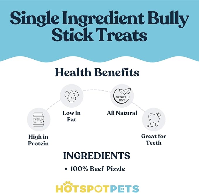 hotspot pets Curly Spring Bully Sticks for Dogs - (12 Pack) Premium All Natural Long Twisted Beef Pizzle Dog Chew Treats - Grain Free Fully Digestible Rawhide Alternative - 6 Inch Stix