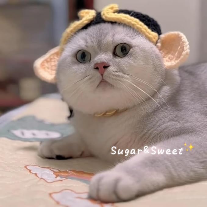 Pet Head Adorable Cat & Dog Headwear - Knit Beanie, Soft & Adjustable, Halloween Accessory (Small, Under 6 lbs)