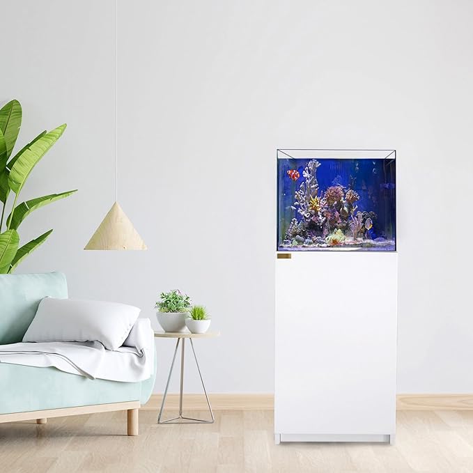 Saltwater Aquarium Tank | 37 Gallon Ultra Clear Glass with Sump, White