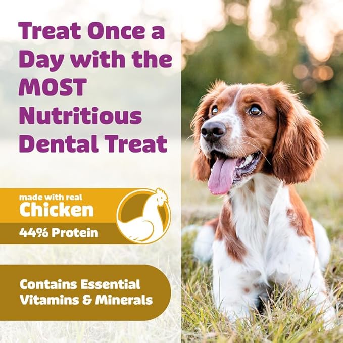 Longevity15 C15:0 Dog Health Supplement (30-Day Supply) & Yummy Combs Dog Dental Treats (8oz Bag) for Extra Large Dogs – C15:0 Fatty Acid for Daily Wellness, Food Topper – VOHC Approved Oral Care