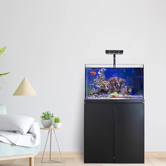 Coral Reef Aquarium Tank | 90 Gallon Ultra Clear Glass with Sump, Black