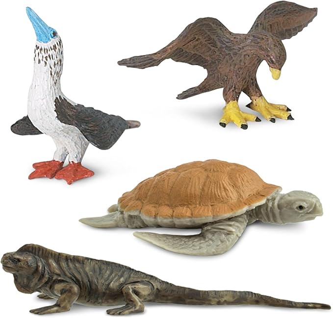 Safari Ltd. Galapagos Wildlife TOOB - Figurines of Seal, Blue-Footed Booby, Tortoise & More - Fun Educational Play Toy for Boys, Girls & Kids Ages 3+