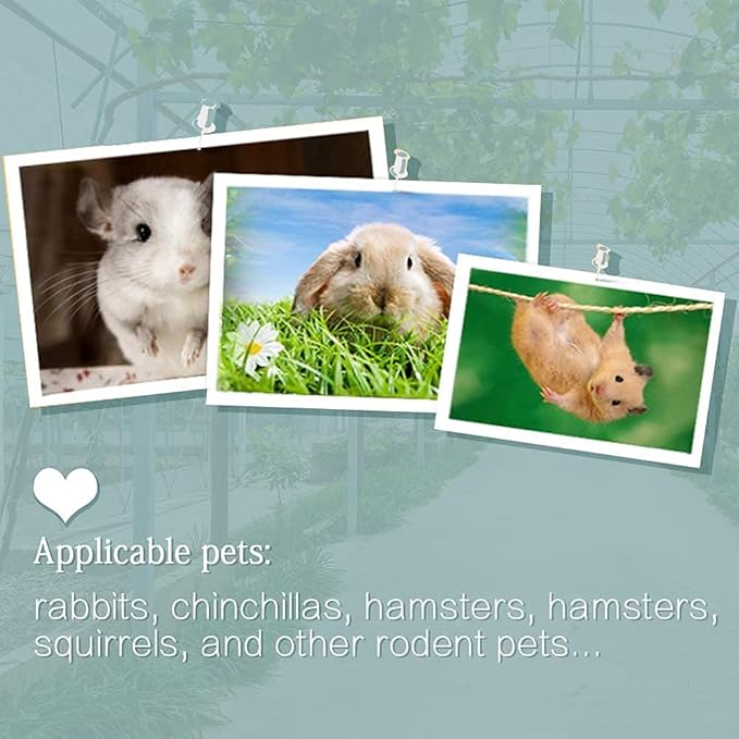 8Pieces Rat Lava Block Chinchilla Bites Calcium Cubes Stone Hamster Grinding Teeth Supplies Mineral Pumice Chew Toy for Gerbil Guinea Pig Mouse