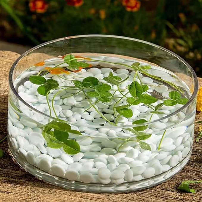 Glass Bowl for Centerpieces, Fish Bowls Decorative Width 5.9", Height 3.1", Lotus Flower Bowl, Round Glass Vase for Wedding Party Event, Home Office Decor