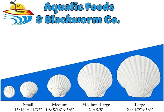 Aquatic Foods Inc. Calcium Feeder Small & Medium Shells. Extra Thick Shells for Shrimp, Snails, Crabs, Crayfish, Hermit Crabs and All Tropical Fish…200 Count Bag