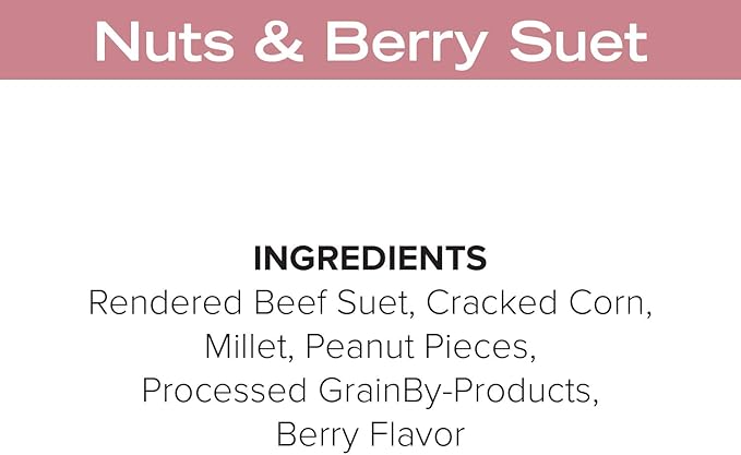 Blue Seal Nuts & Berry Suet Cakes for Wild Birds - No Mess Suet Feed, Food for Woodpeckers, Cardinals, Siskins, Sparrows & More - 11oz Suet Feeder, Bird Seed Cakes (Pack of 12)