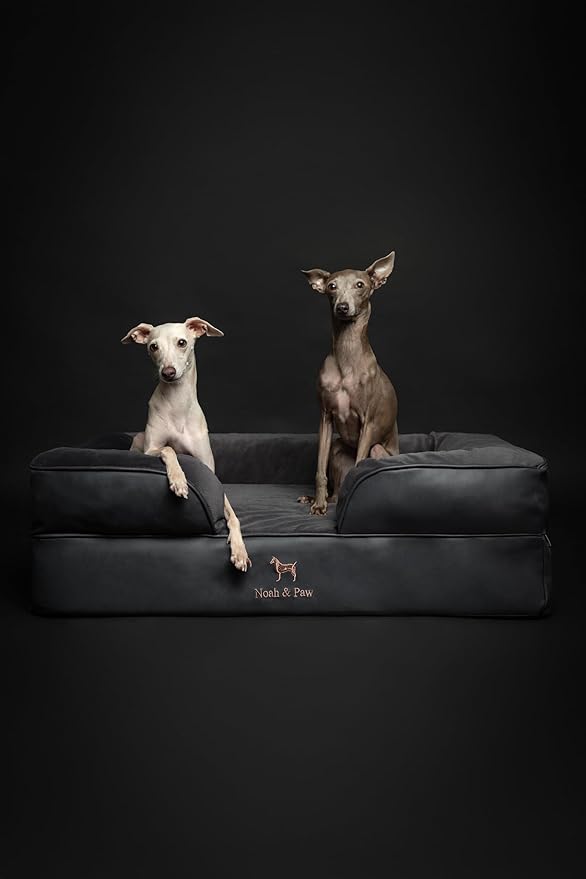 NOAH & PAW Large Dog Bed, 35x25x11 Inch, Orthopedic Dog Beds, Eggshell Memory Foam Infused with Cooling Gel, Inner Cover, Waterproof, Machine Washable (Faux Leather Sofa Collection)