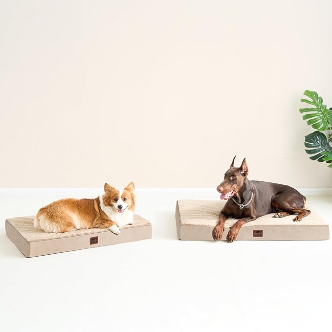 EHEYCIGA Orthopedic XXL Dog Beds for Jumbo Dogs with Removable Washable Cover,Khaki, 50x36