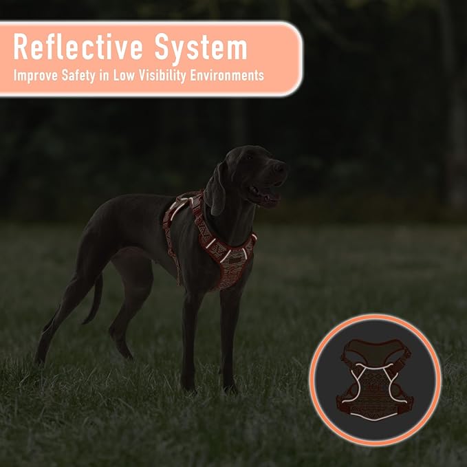 No-Pull Dog Harness for XS Sized Dogs, Anti-Escape Easy Walking Reflective Adjustable Lightweight Dog Vest with Breathable Oxford Material ID Card Slot, Easy on Easy Off with Neck Buckle, XS