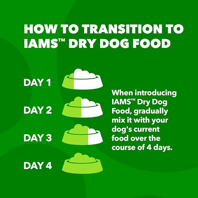 IAMS Proactive Health Minichunks Adult Dry Dog Food with Real Chicken, 15 lb. Bag