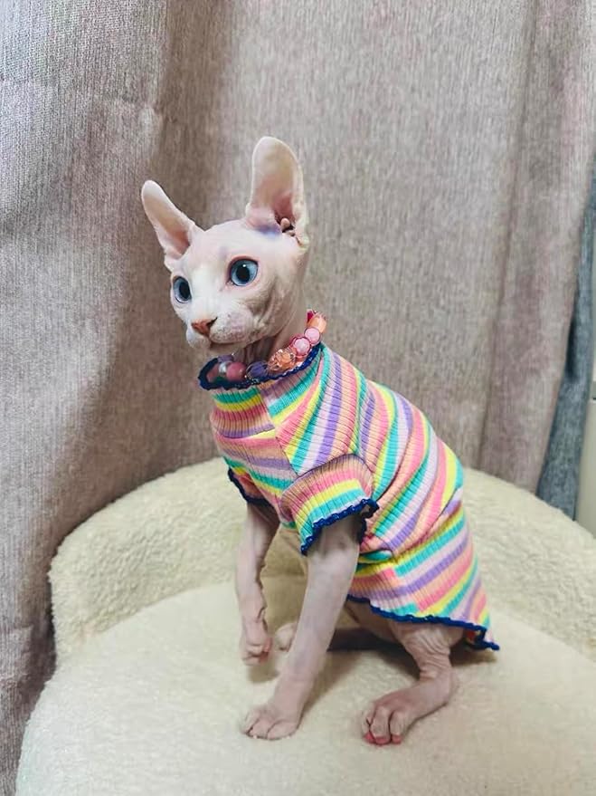 Sphynx Cat Clothes, Hairless Cat Shirt, Soft Stretchy Sweater for Cats, Breathable Cat Daily Outfit, Pullover for Cornish Rex, Devon Rex (Rainbow Stripe, XXL (8.5-12lbs))