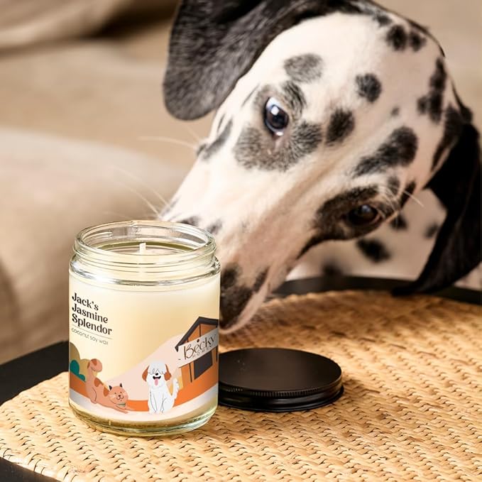 9oz Pet Odor Eliminator Deodorizer Candle, Long-Lasting Jasmine Scented, Non Toxic, Natural Plant-Based Wax Blend
