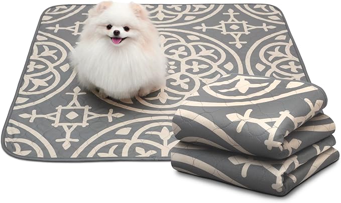 Paw Inspired Designer Print Dog Pads (2 Pack) | Premium Washable Pee Pads | Reusable Puppy Pads for Potty Training, Whelping, Waterproof Mat | Leakproof, Non-Slip Liner (Medallion Style, 36"x36" Size)