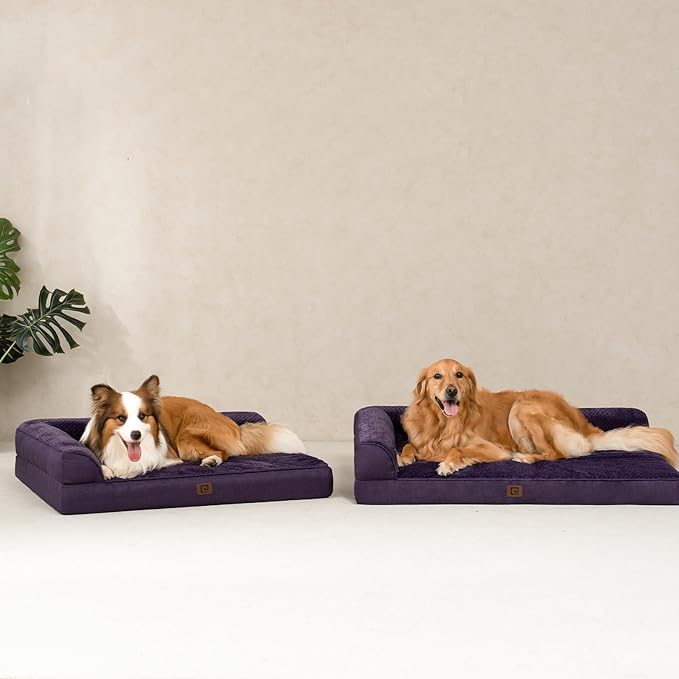 EHEYCIGA Memory Foam Dog Bed Medium Sized Dogs, Waterproof Dog Bed Orthopedic with Washable Removable Cover, Non-Slip Pet Bed Couch for Crate, 30x20x6 Inches, Purple