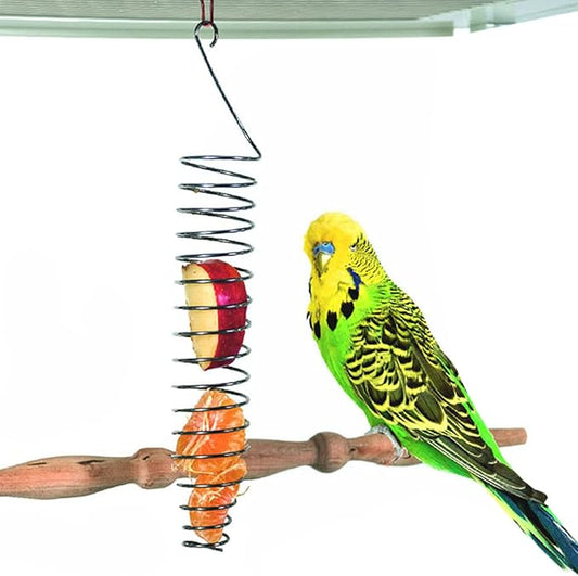 QBLEEV Stainless Steel Bird Food Holder, Parrots Foraging Toys, 25cm Long, 82g Weight, Fits Nuts, Fruits, Vegetables, Grain, Wheat, Chew Toys for Conures, Parakeets, Cockatoos