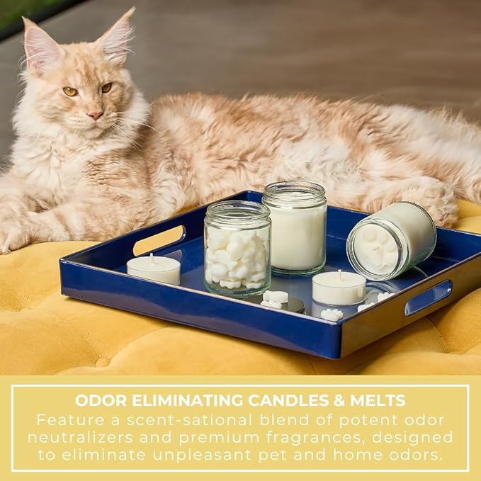 9oz Pet Odor Eliminator Deodorizer Candle, Long-Lasting Jasmine Scented, Non Toxic, Natural Plant-Based Wax Blend