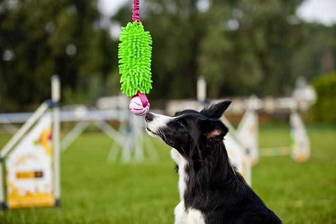 Dingo Dog tug of war toy for outdoor play traning agility,cuddly and shaggy plush tug toy for motivation and fun, soft nubby-textured noodle plush with bungee shock absorber and rubber ball green15589