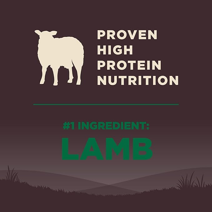 Wellness CORE Dry Dog Food, Grain Free, High Protein, Natural, Lamb Recipe, (22-Pound Bag)